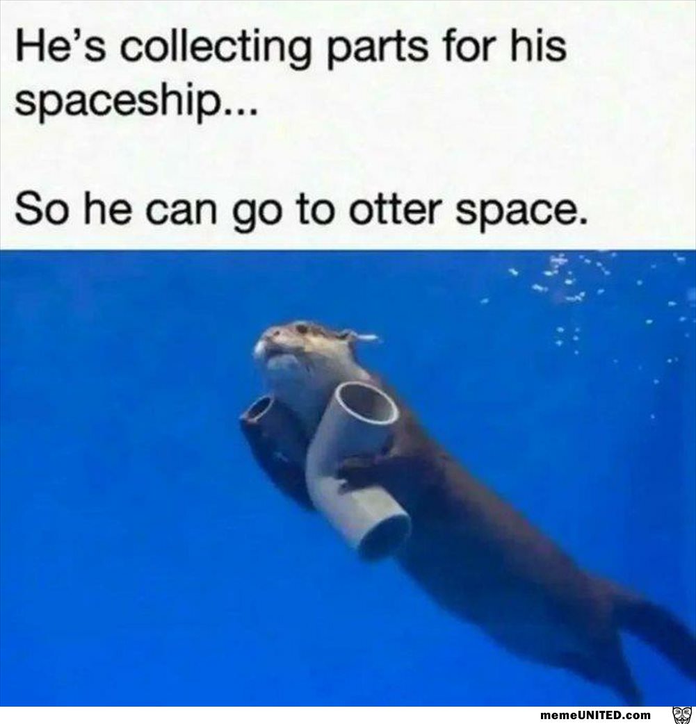 Going To Otter Space